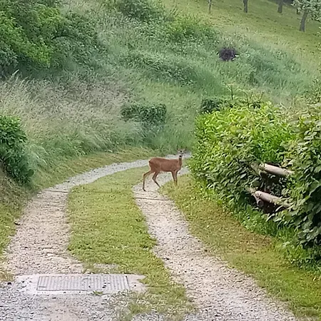 La Casa Di Simone Apartamento *