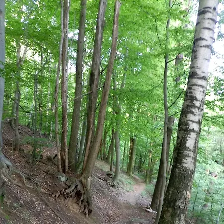 La Casa Di Simone Apartamento Sant'Ambrogio di Torino