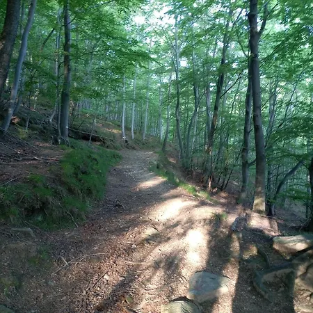 Apartamento La Casa Di Simone *